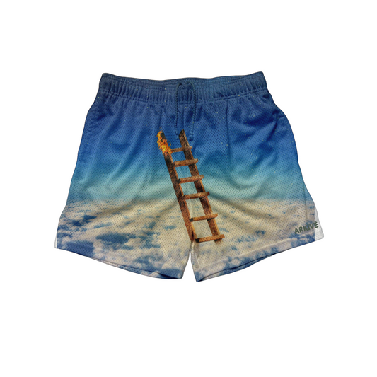 HIGHEST IN THE ROOM SHORTS